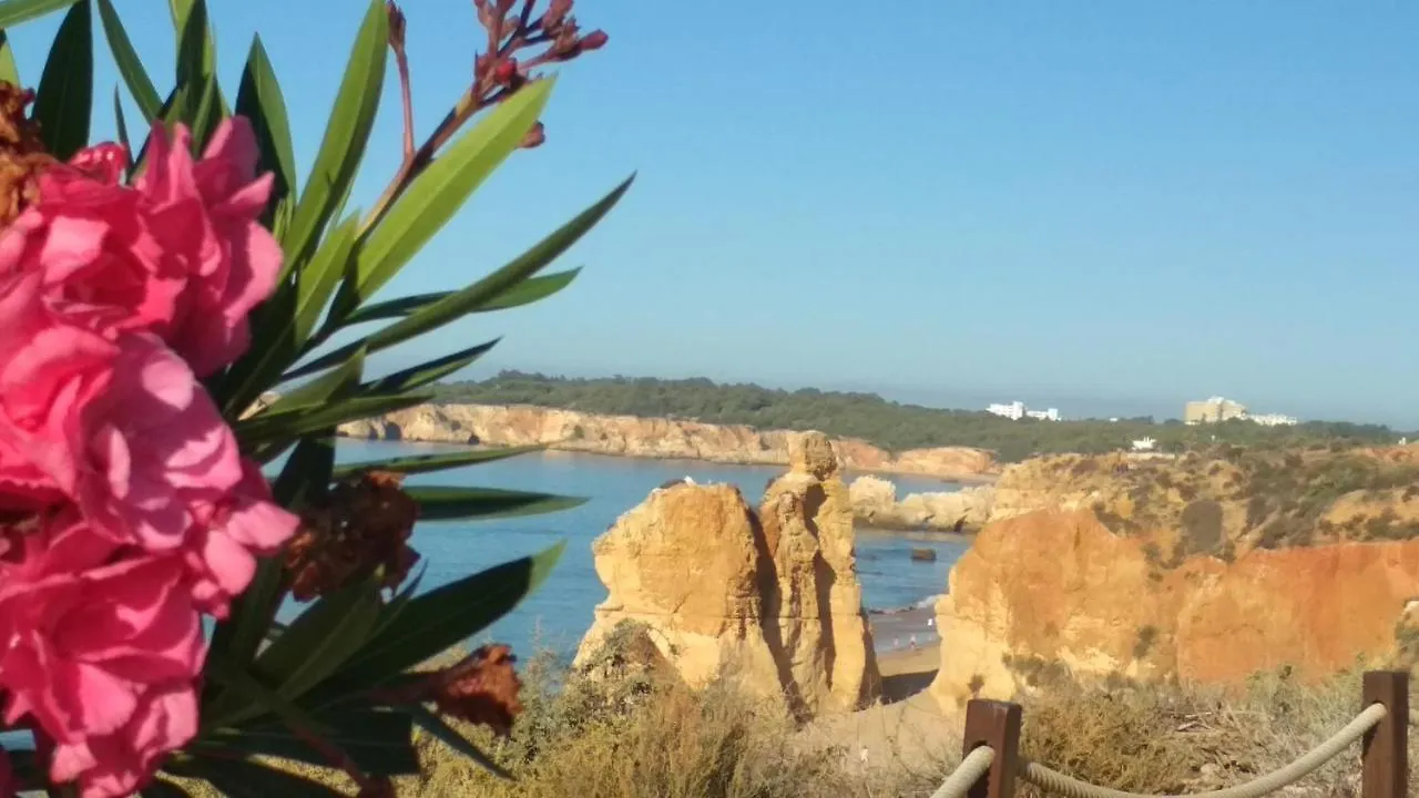 Apartment Albur Village B - Gerbera Alvor